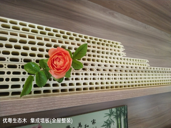 ��ľ�w�S���ɉ���